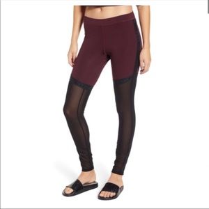 Ivy Park Mesh Leggings